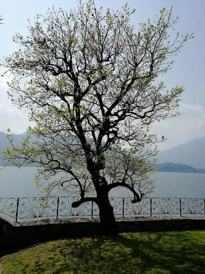 L'Antico Borgo, Un Mix Di Storia E Romanticismo Βίλα Lierna